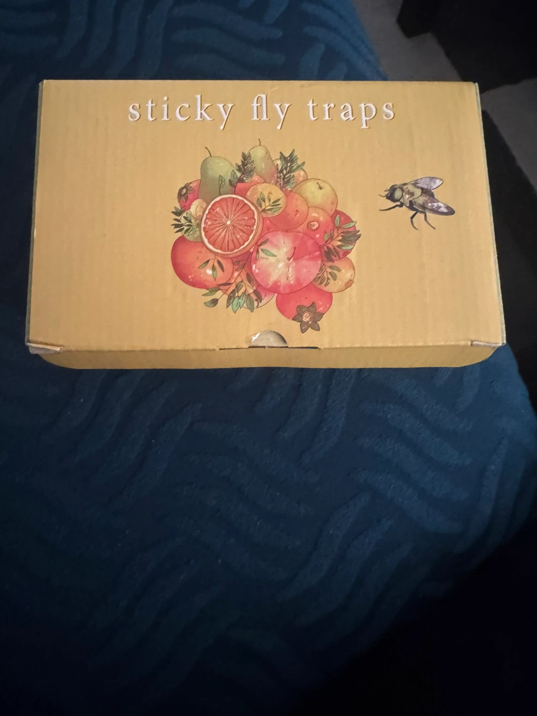 40 Pack Sticky Fly Traps