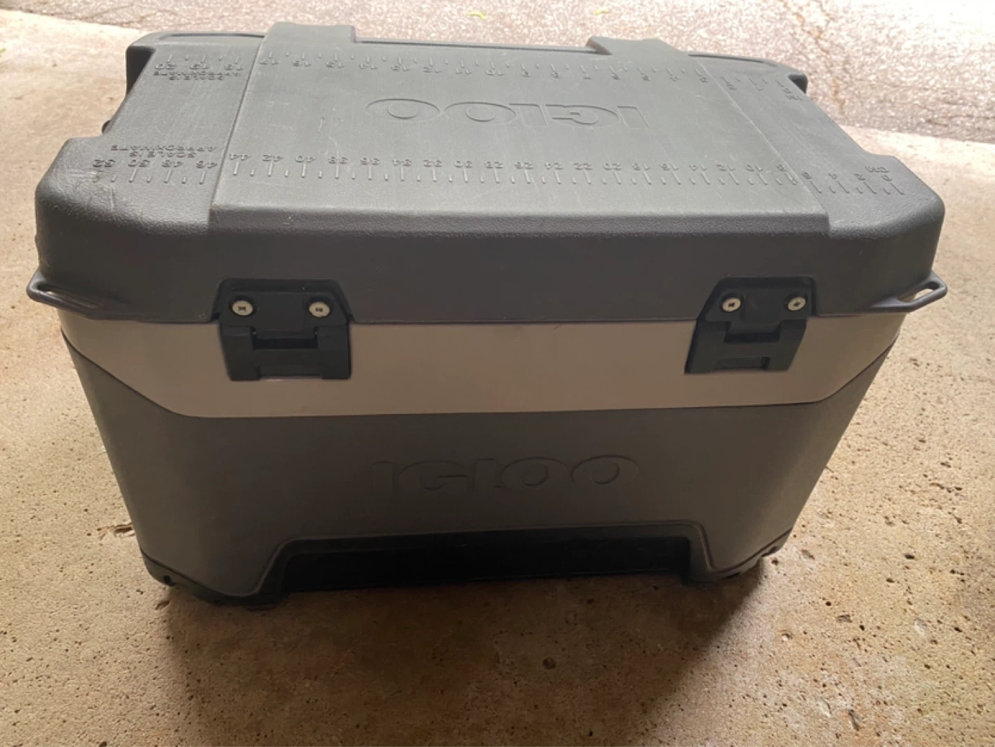 Igloo Cooler - photo 4