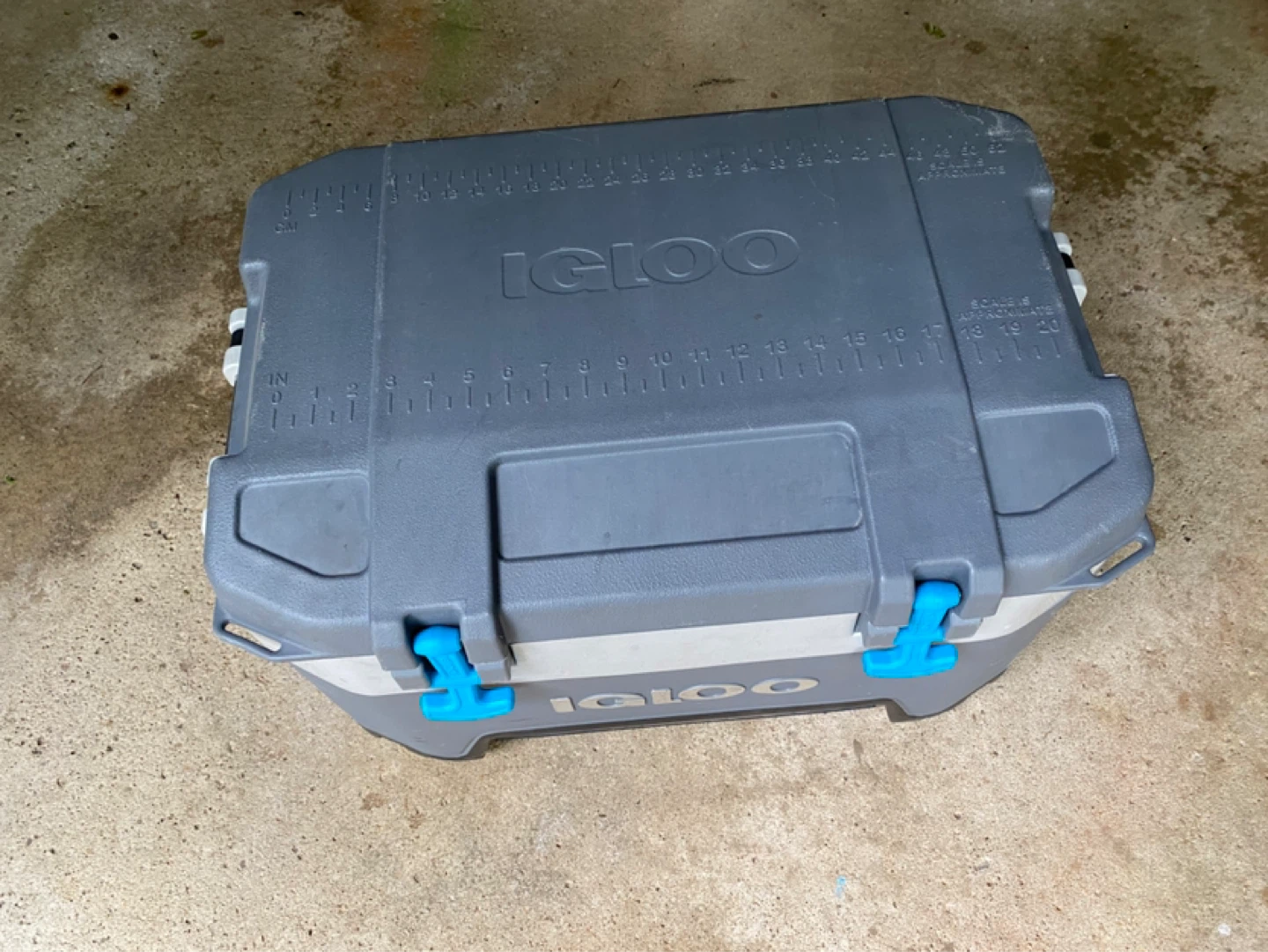 Igloo Cooler - photo 2