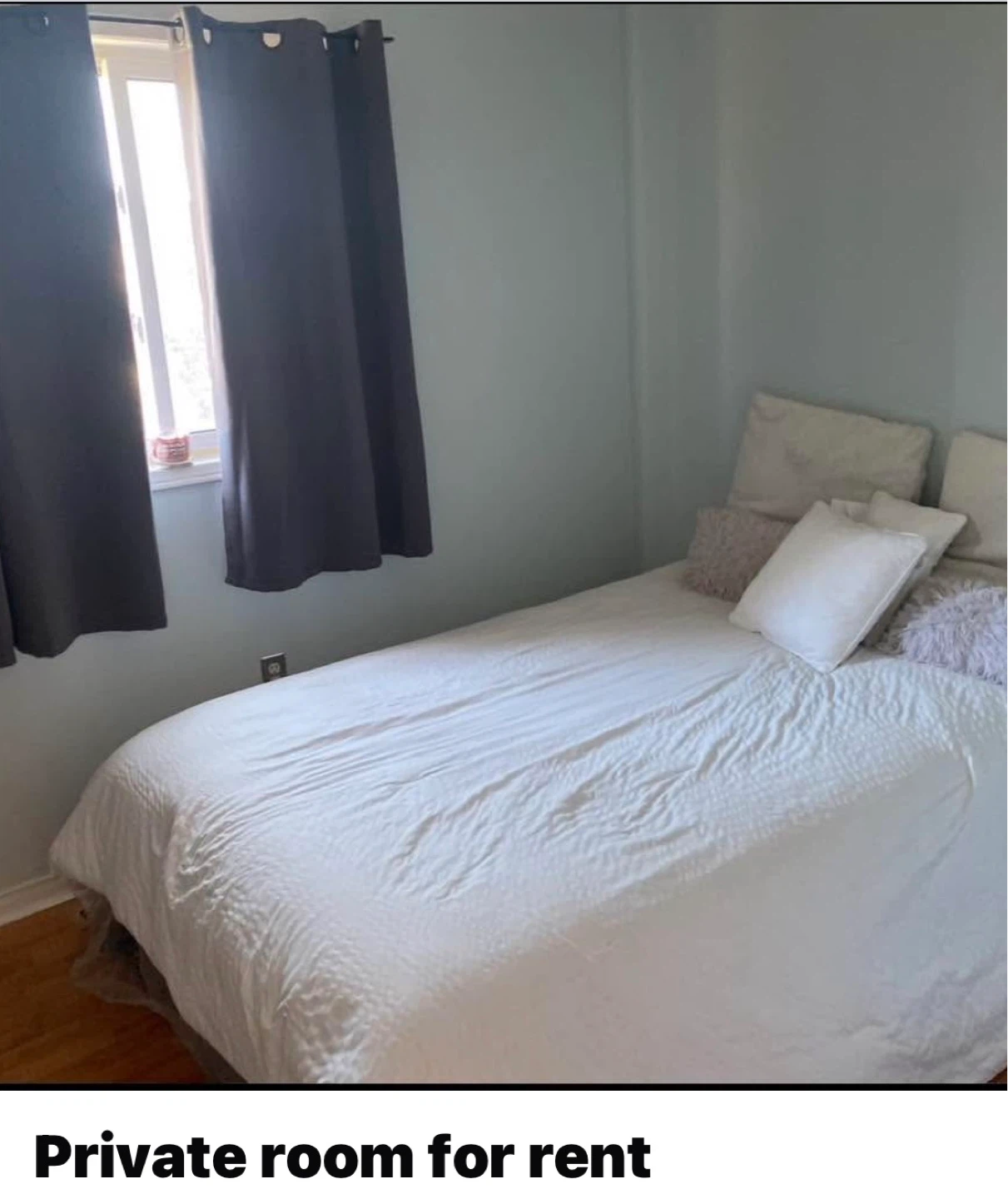 Private room for rent