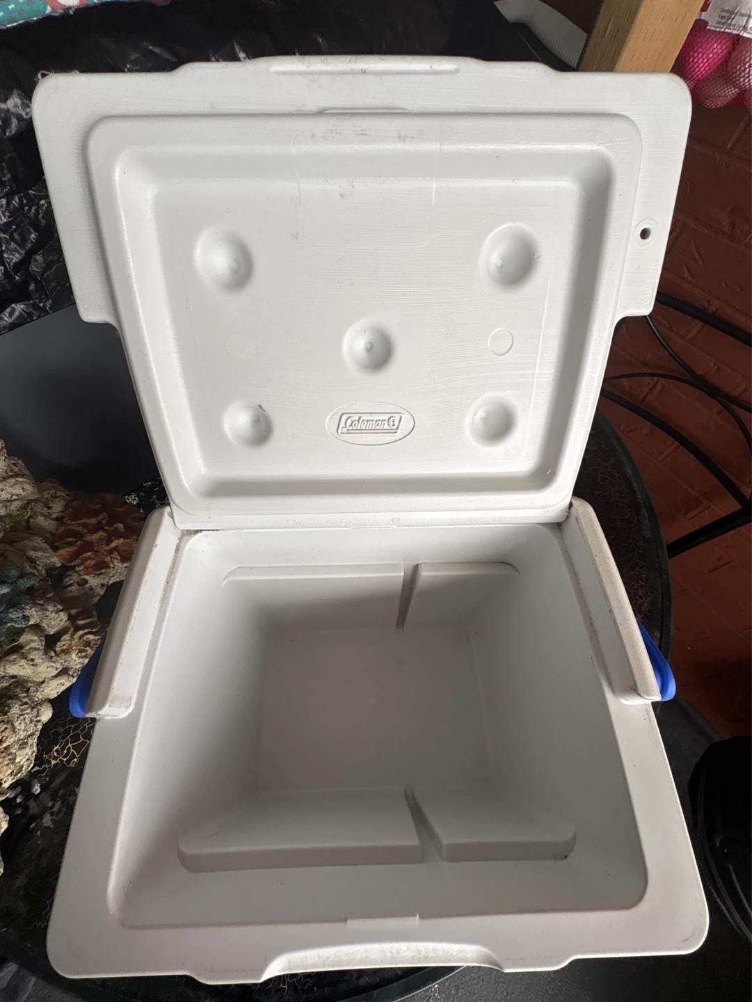 Blue Coleman Cooler - photo 3