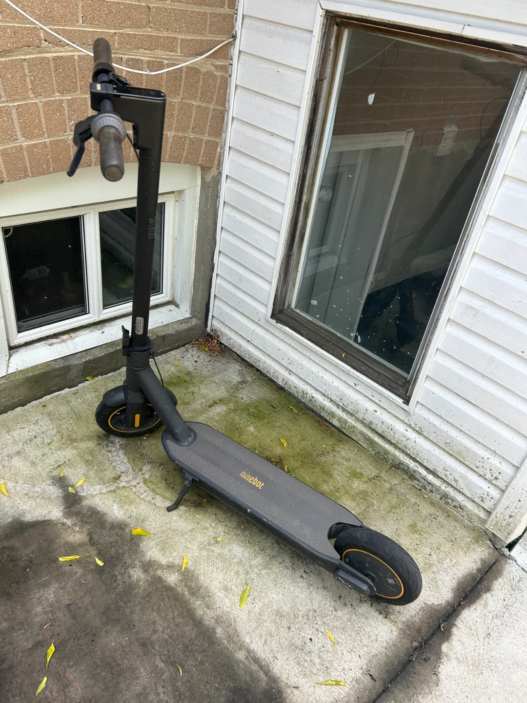 Ninebot Electric Scooter