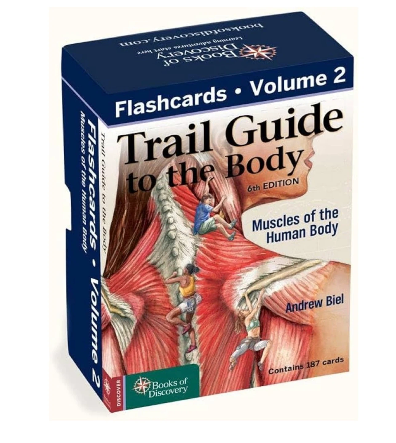 Trail Guide to the Body Flashcards Vol 2