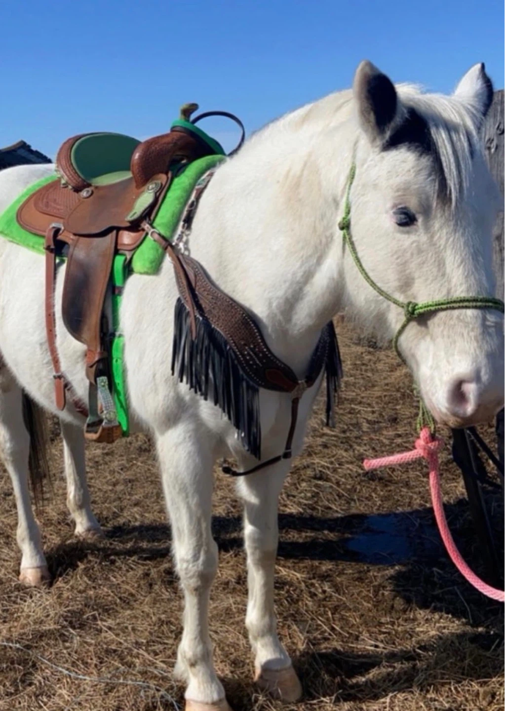 15” barrel saddle