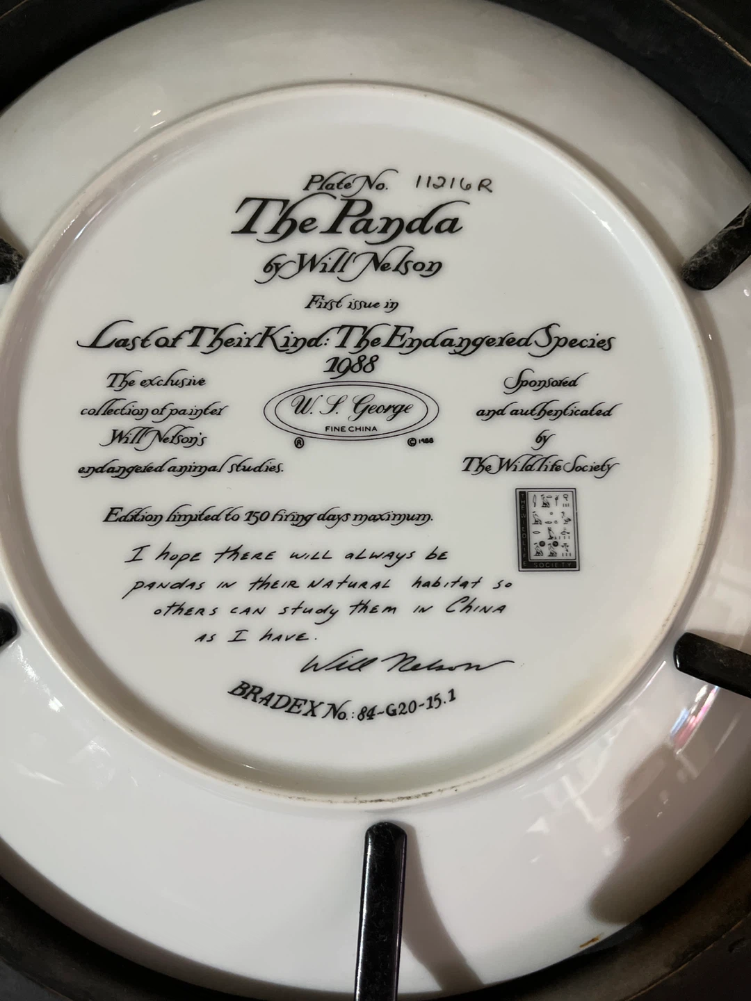 The Panda by Will Nelson Fine China Plate - photo 3