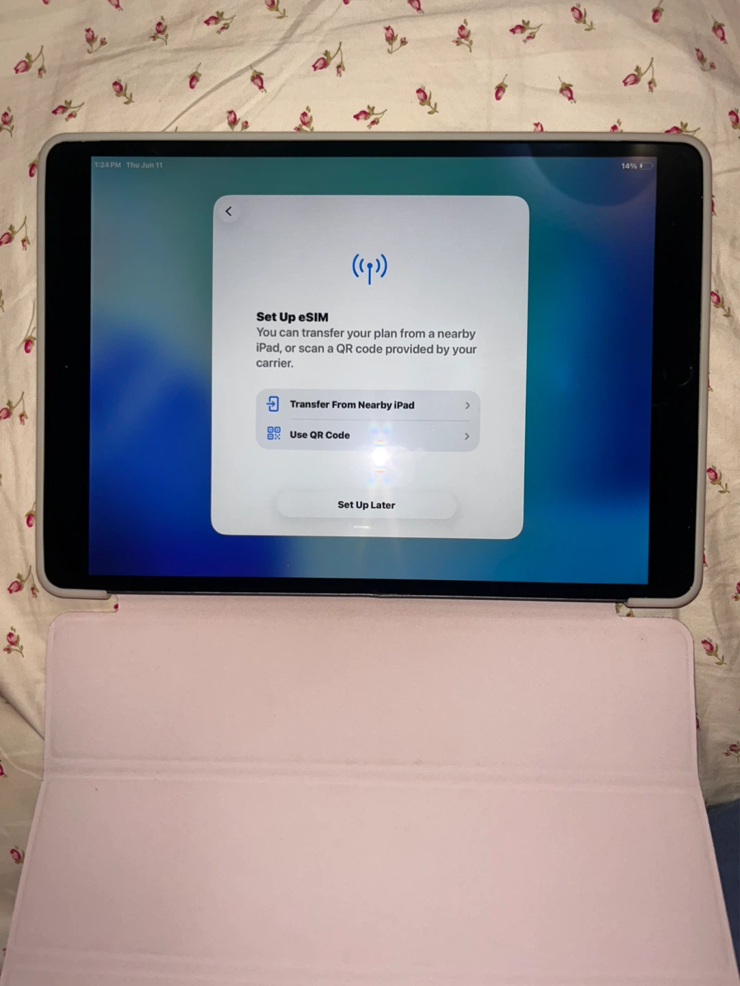 iPad