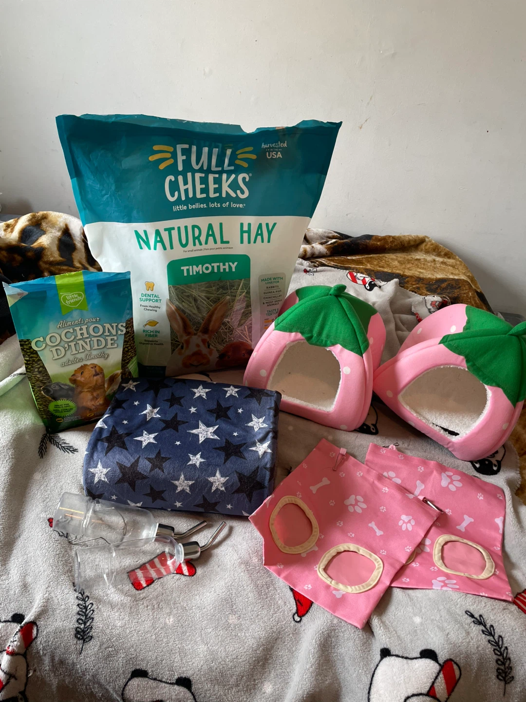 Guinea Pig Supplies Lot