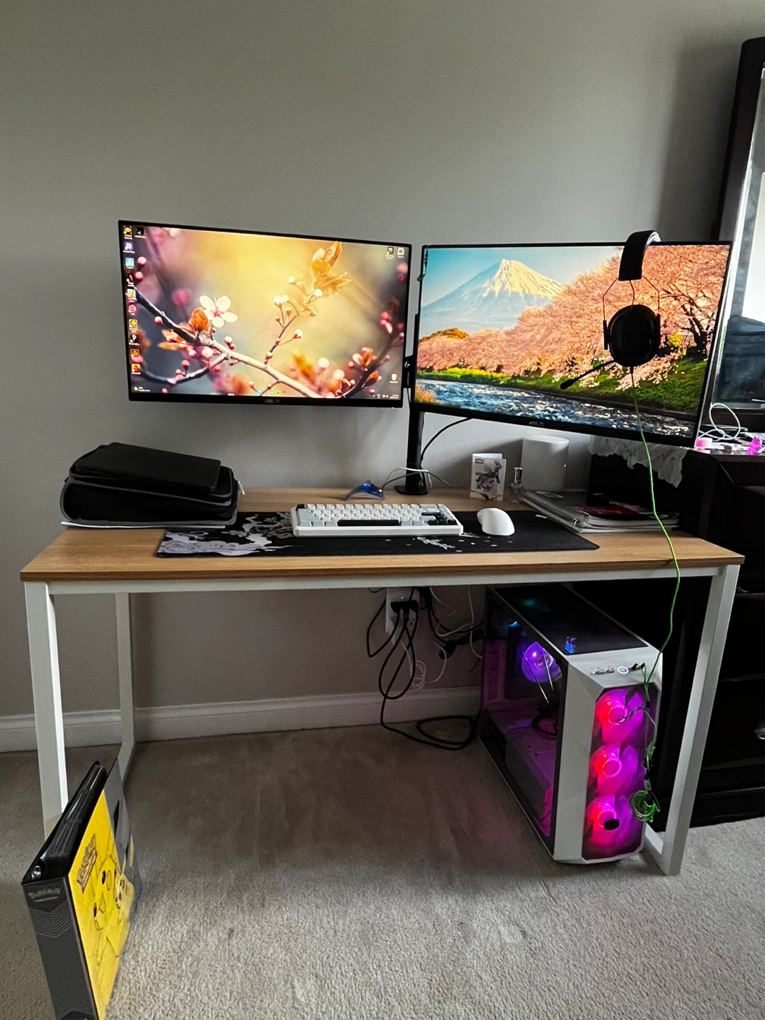 Gaming Setup (everything except deco included)