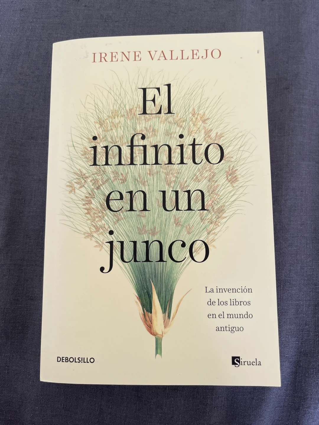 El infinito en un junco by Irene Vallejo