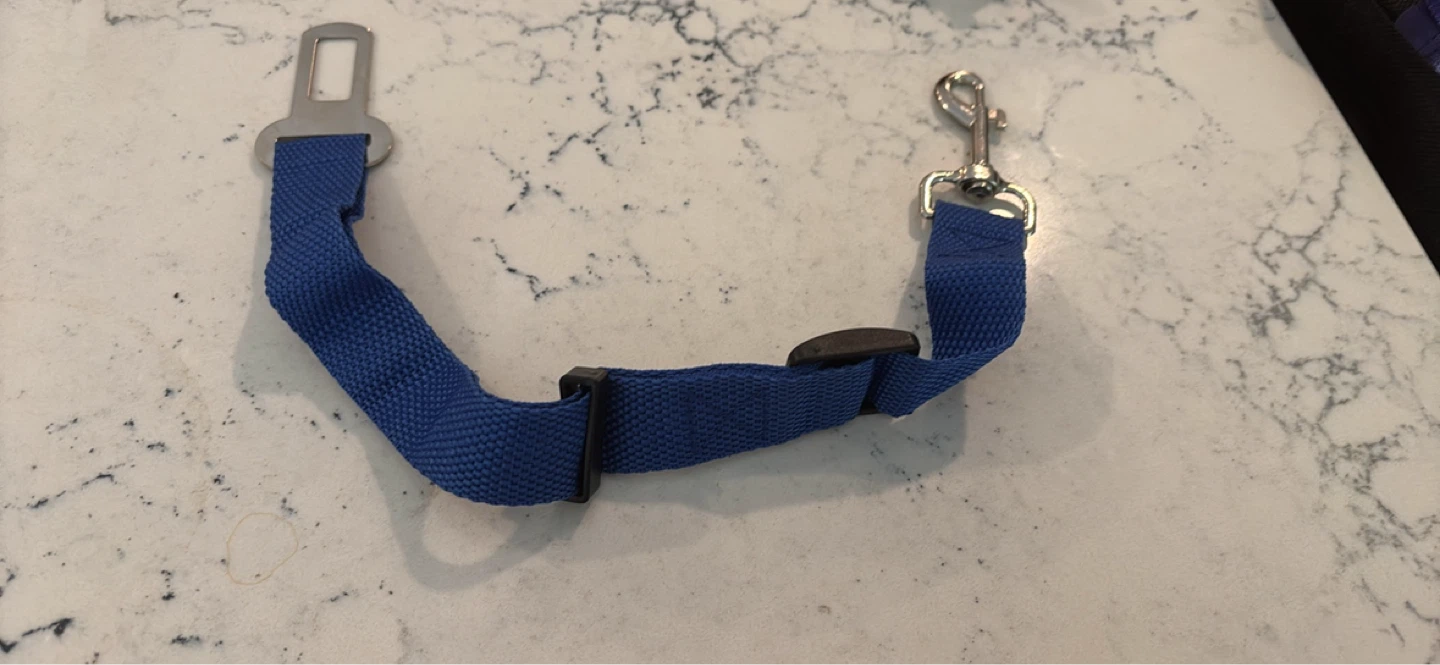 Blue Dog Seat Belt Leash
