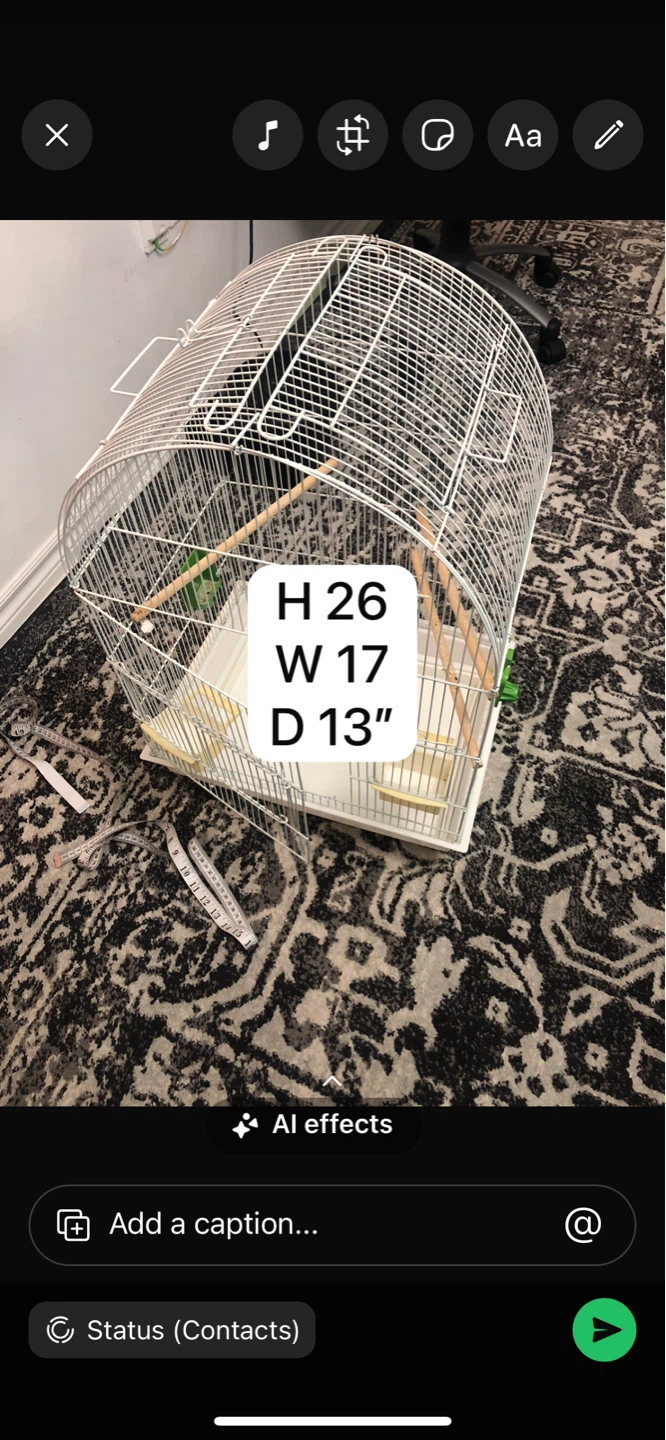 White Bird Cage with Perches - photo 2