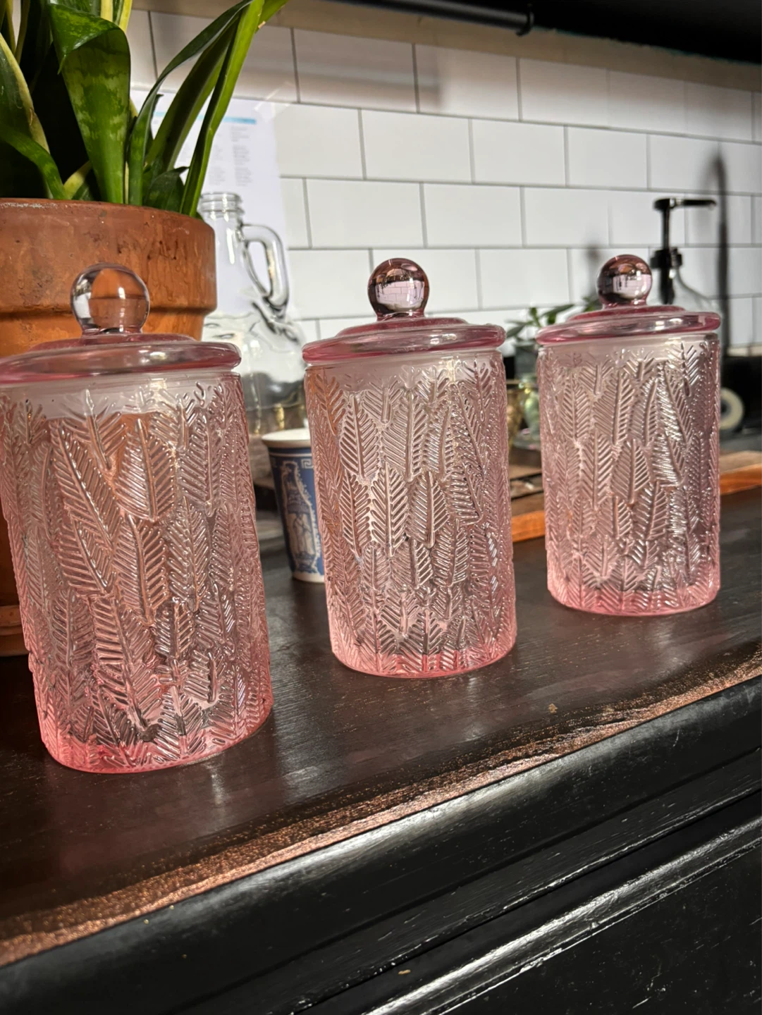 3 Heavy Glass Jars