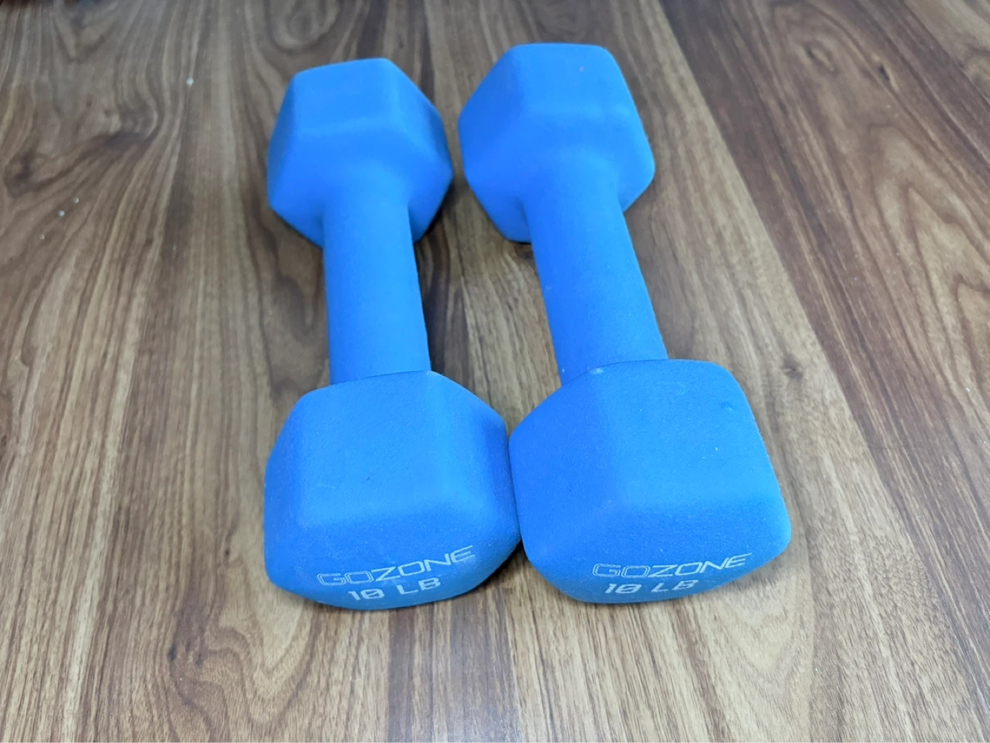 GoZone Blue Dumbbells - 10 LB (Pair)