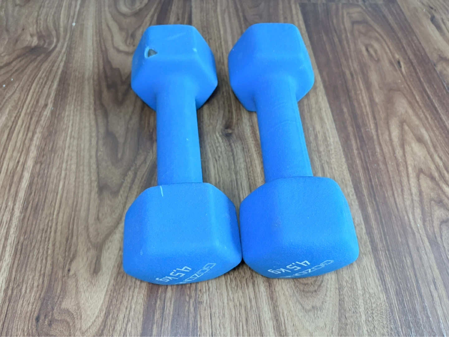 GoZone Blue Dumbbells - 10 LB (Pair) - photo 2