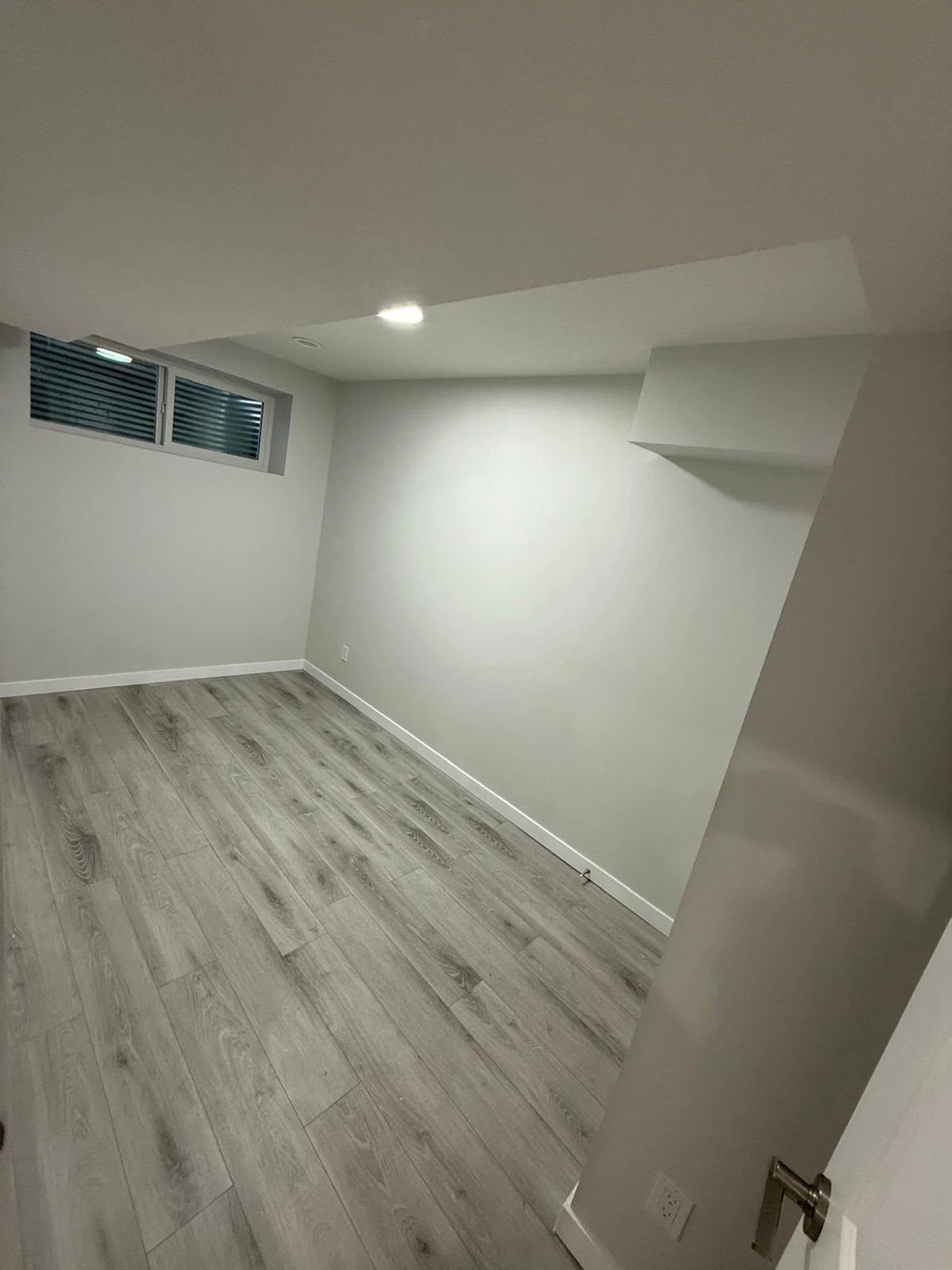 Recently Renovated Basement Suite - photo 5