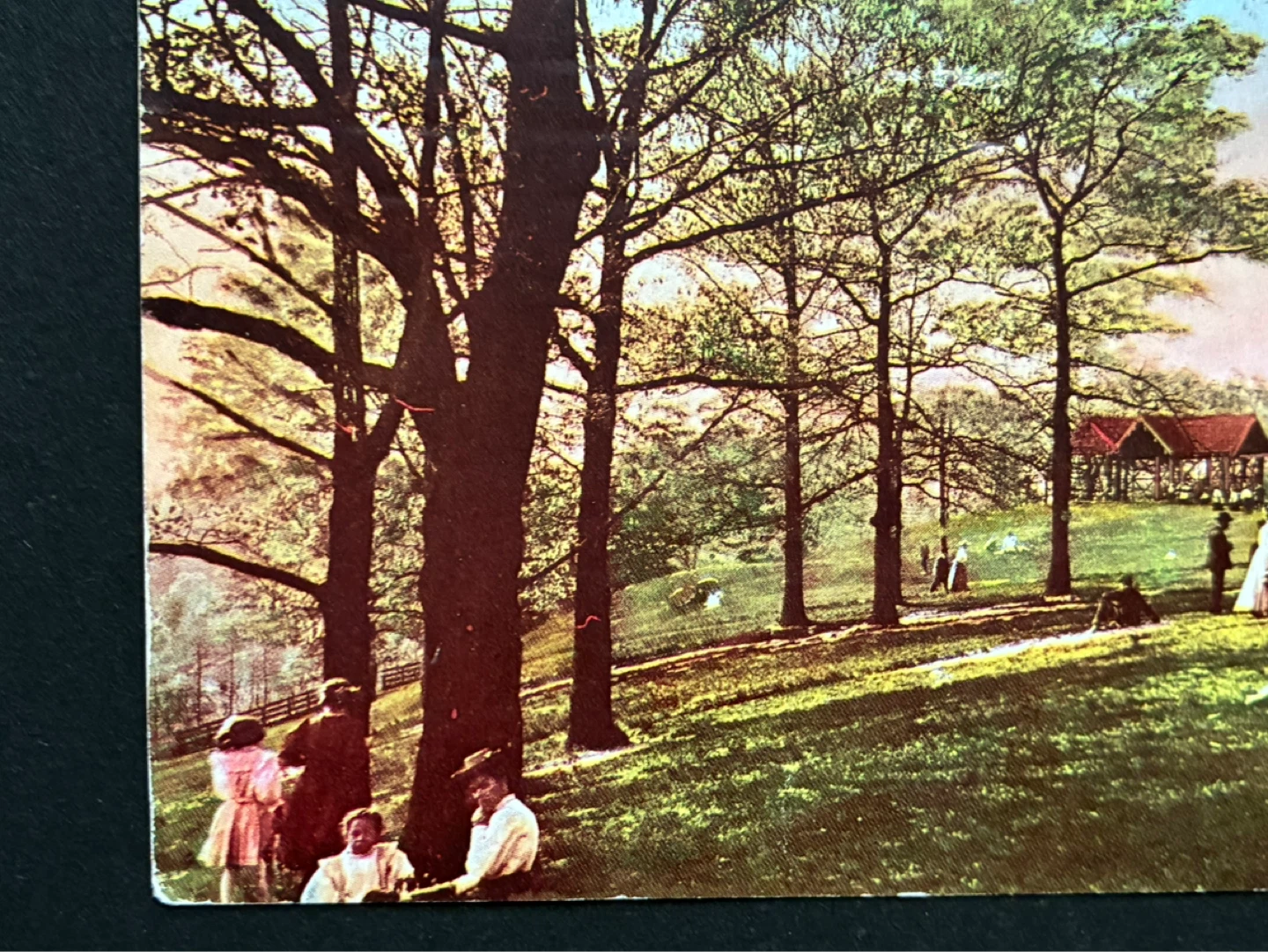 1915 antique High Park postcard Toronto Ontario vintage - photo 3