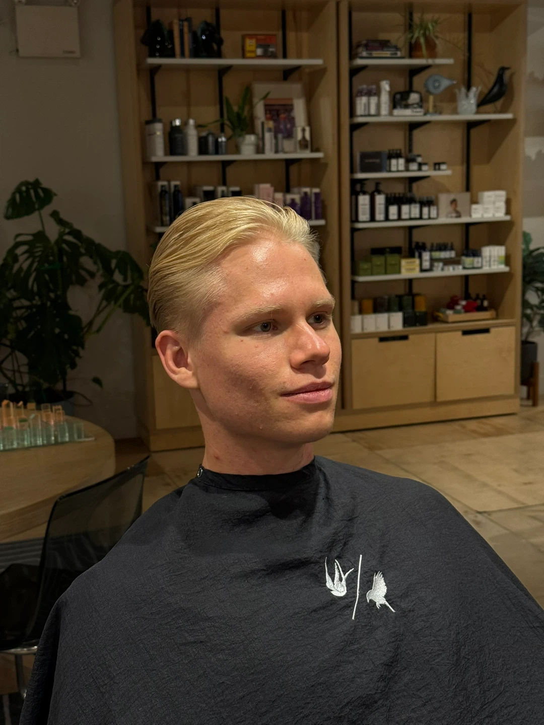 Classic & Modern Haircuts/Clean-Ups - photo 5