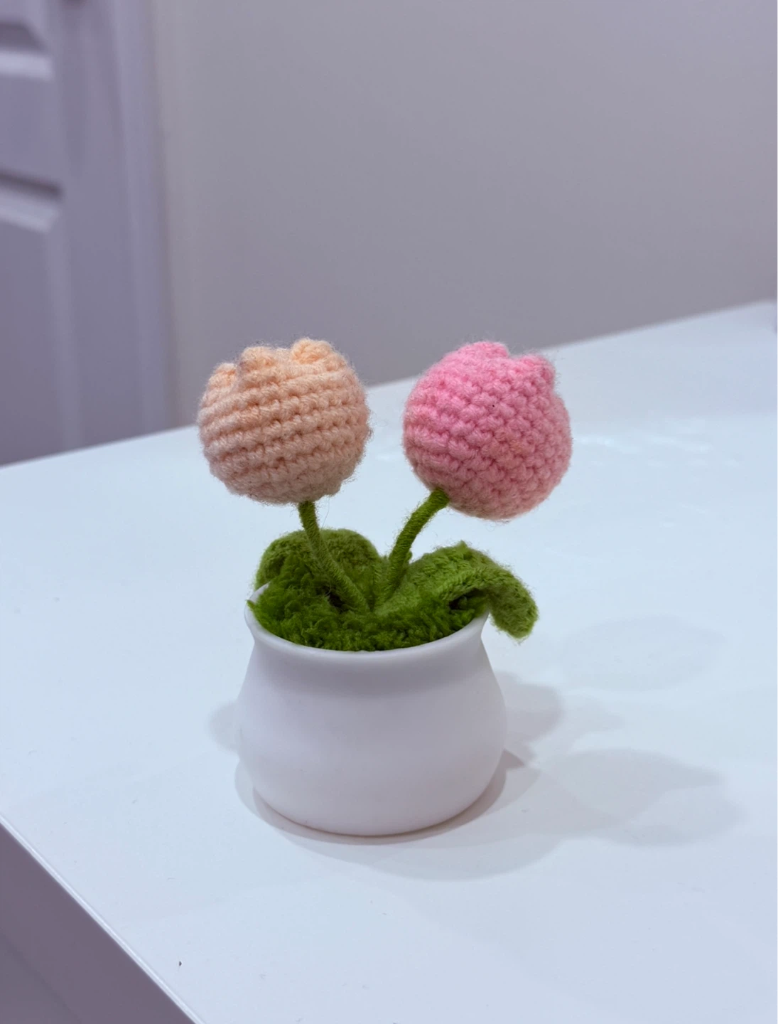 Crocheted Tulip Plant Decoration