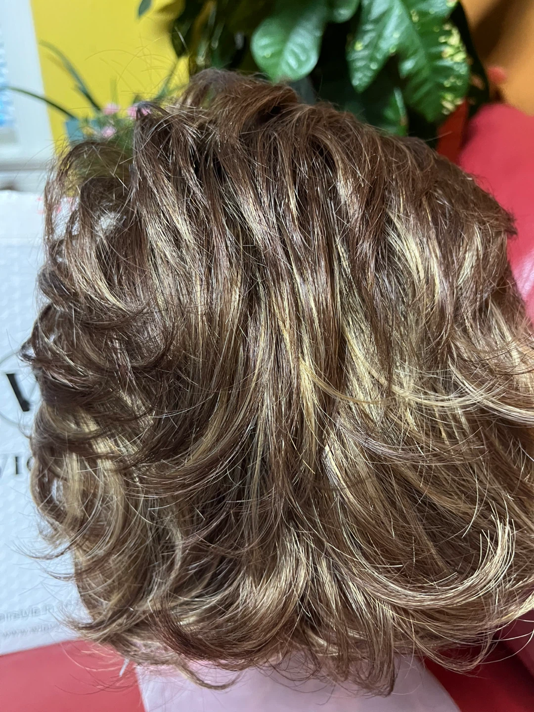 Wiggyy Wig - Brown/Blonde Highlights - photo 5