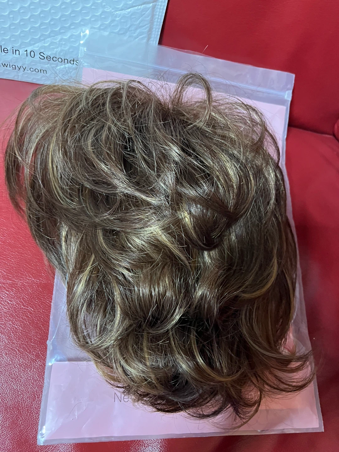 Wiggyy Wig - Brown/Blonde Highlights