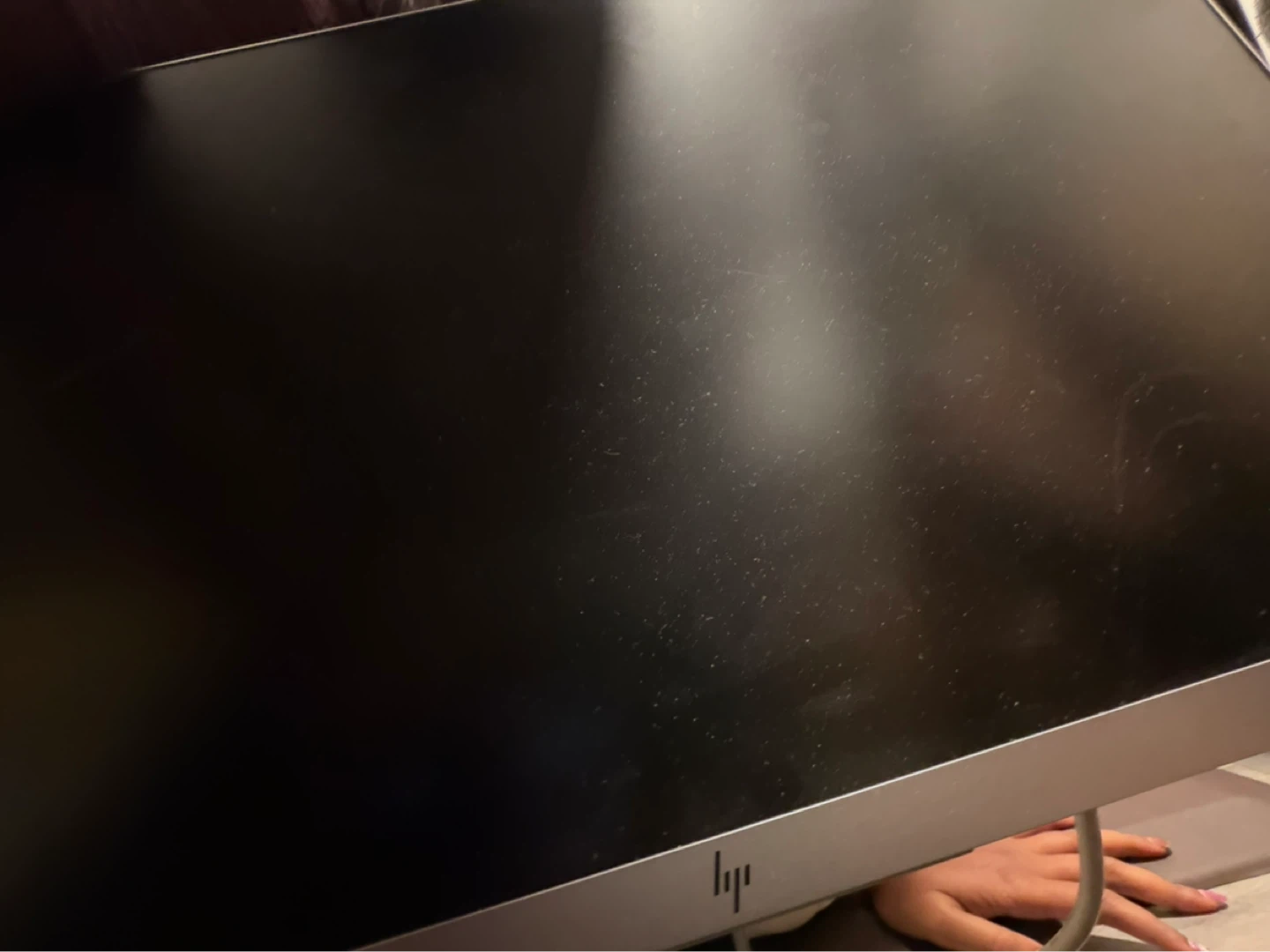 HP Computer Monitor