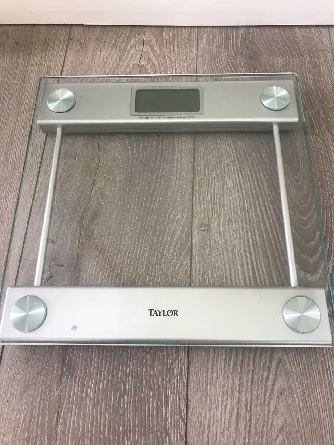 Taylor Digital Scale