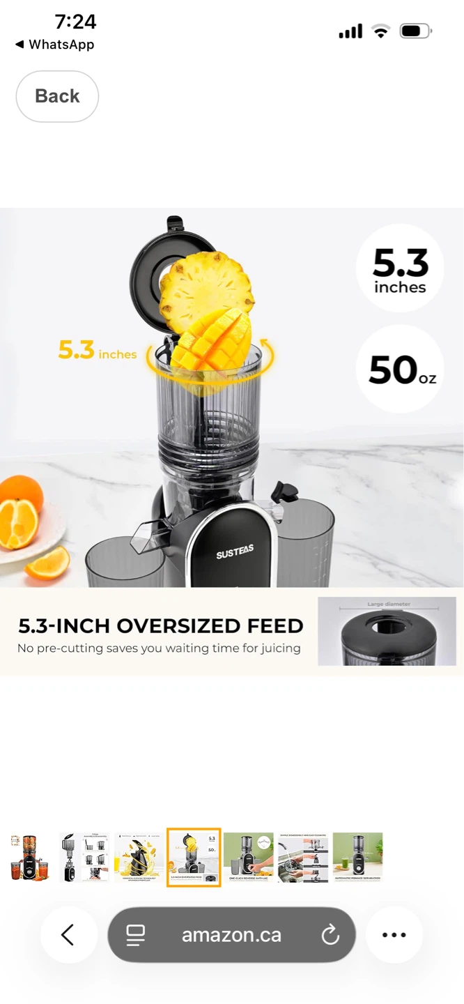 SUSTEAS Slow Juicer - photo 4