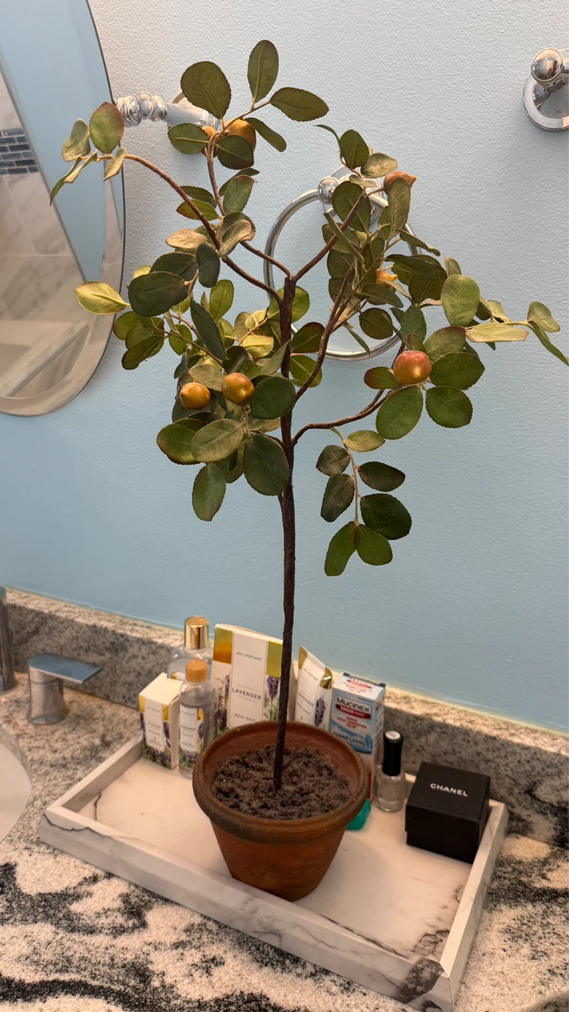 Artificial Fruit Tree in Terracotta Pot