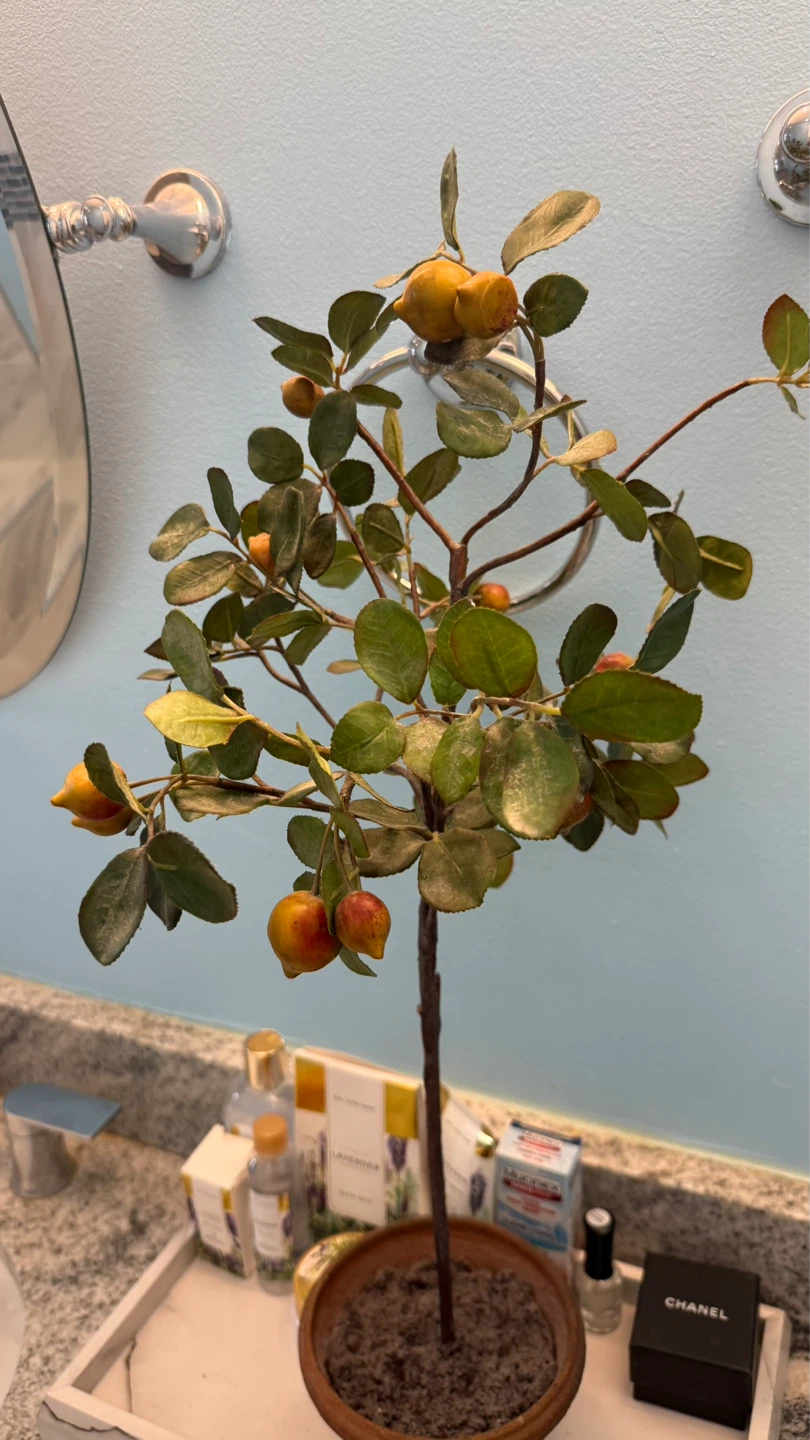 Artificial Fruit Tree in Terracotta Pot - photo 3