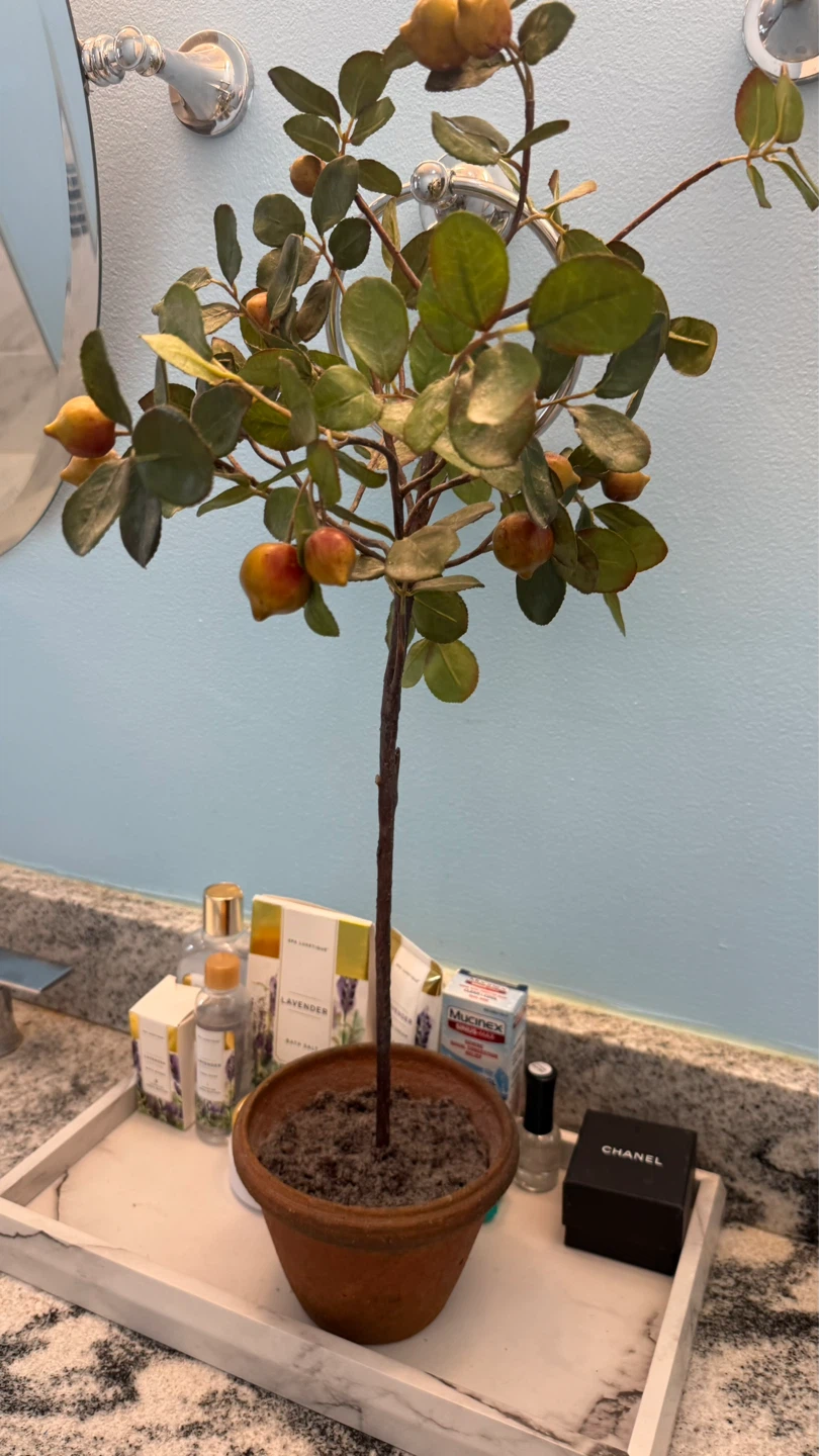 Artificial Fruit Tree in Terracotta Pot - photo 4