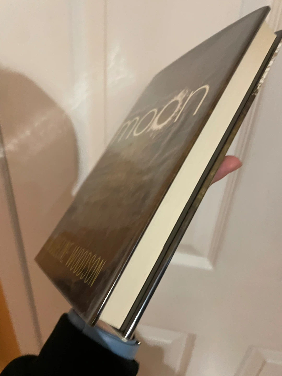 Beneath a Meth Moon: A Novel by Jacqueline Woodson - photo 2