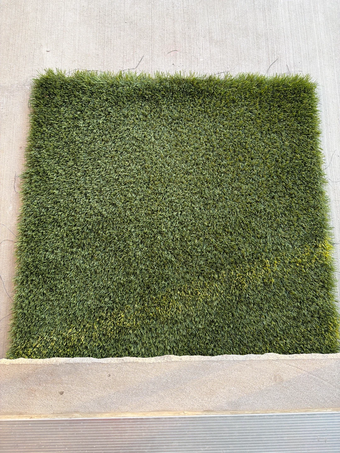 Artificial Grass Patch