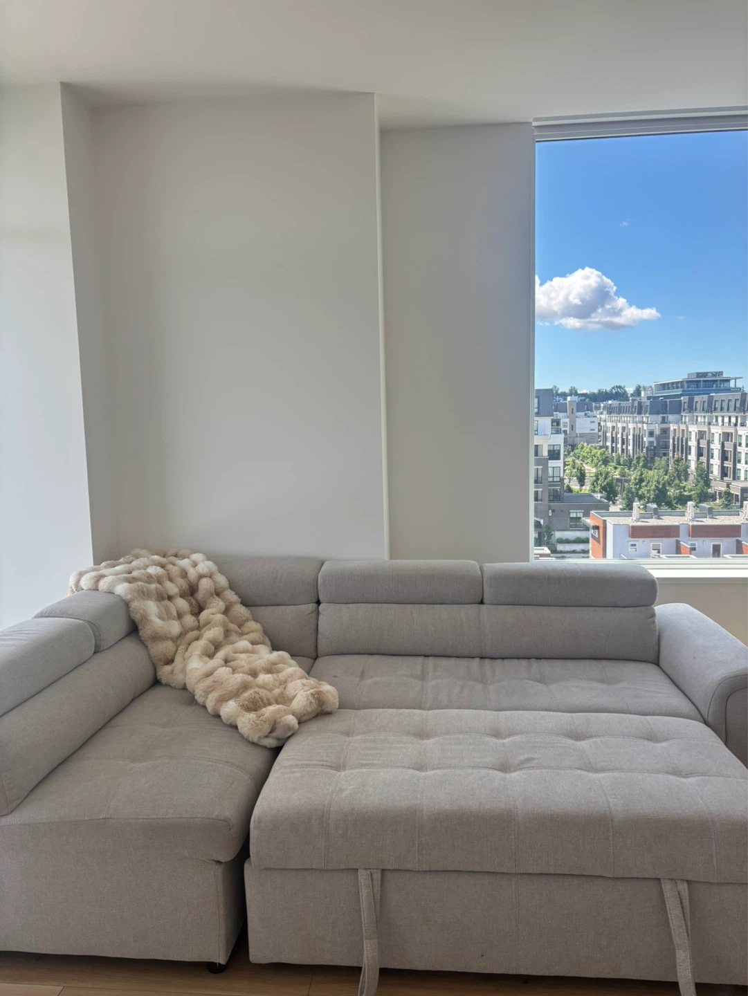 Grey Sectional Sofa Bed