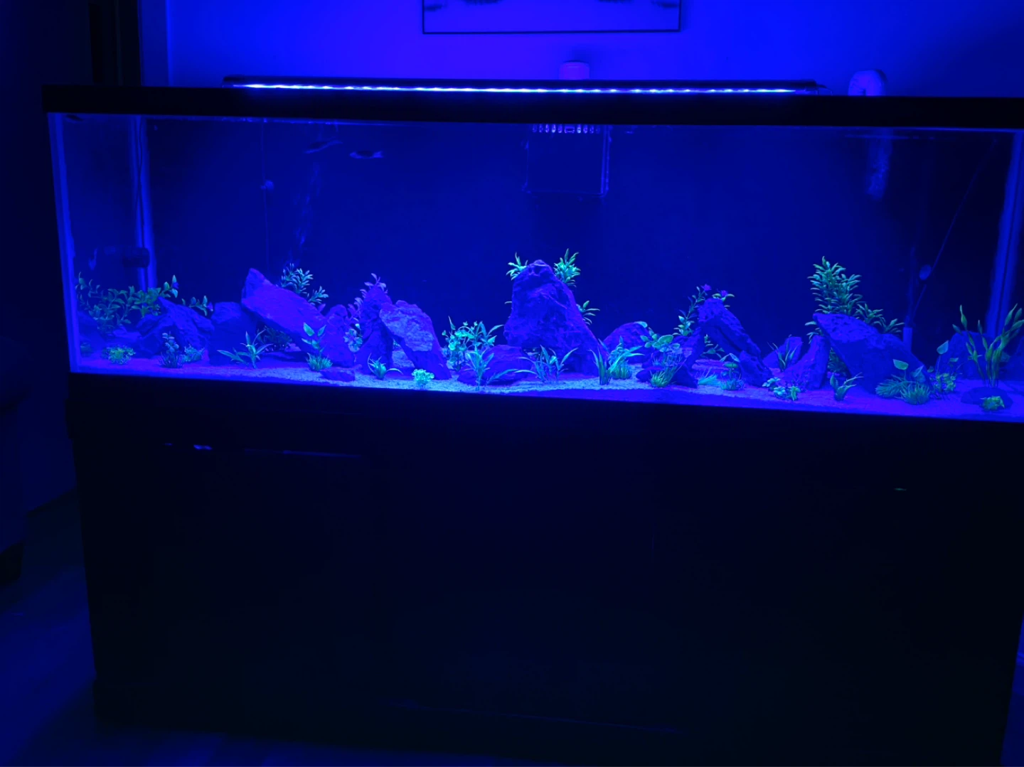 Large Aquarium with Stand - photo 3