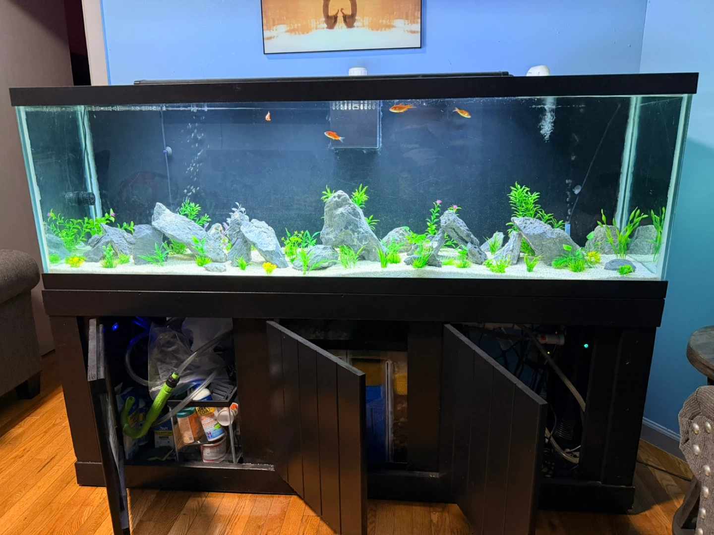 Large Aquarium with Stand