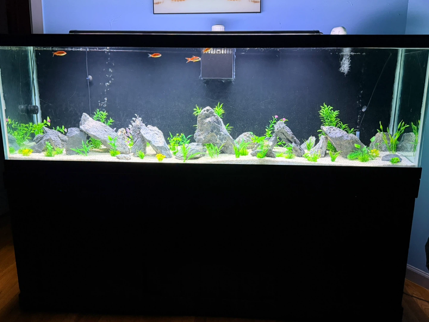 Large Aquarium with Stand - photo 2