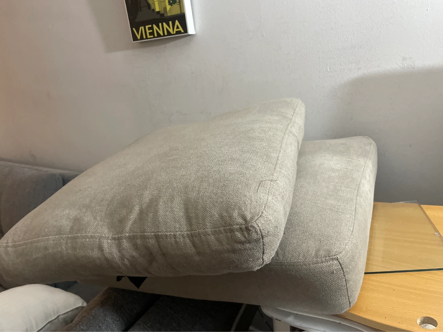 Set of 2 Cushion Foam & Slip Cover,