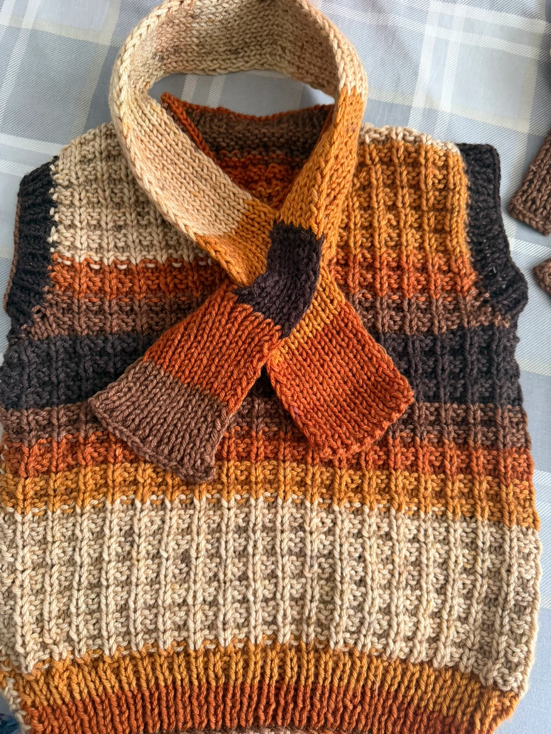 Hand-Knit Sweater Vest and Hat Set - Autumn Colours