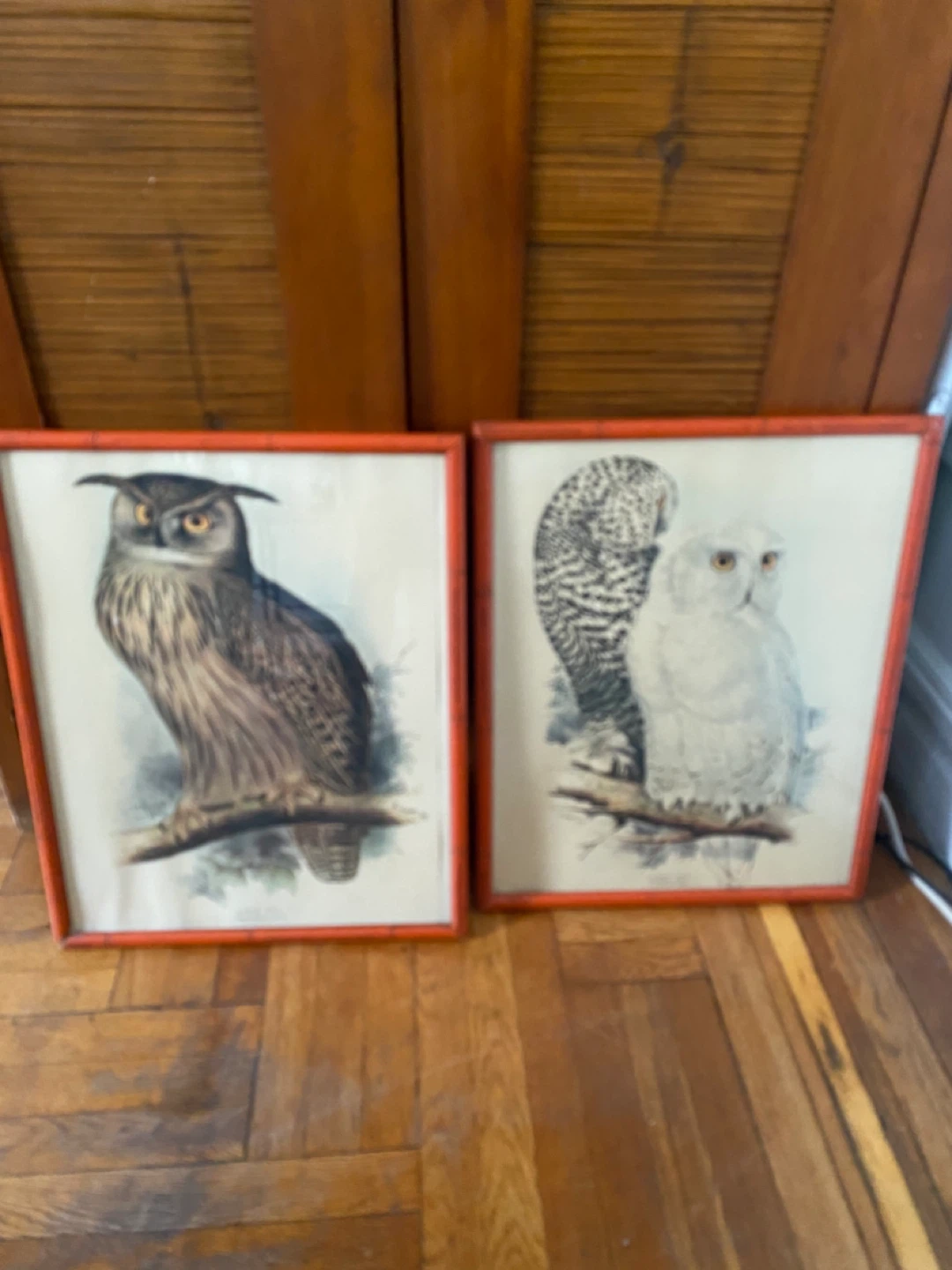 Vintage Framed Bird Prints (Set of 5) - photo 2