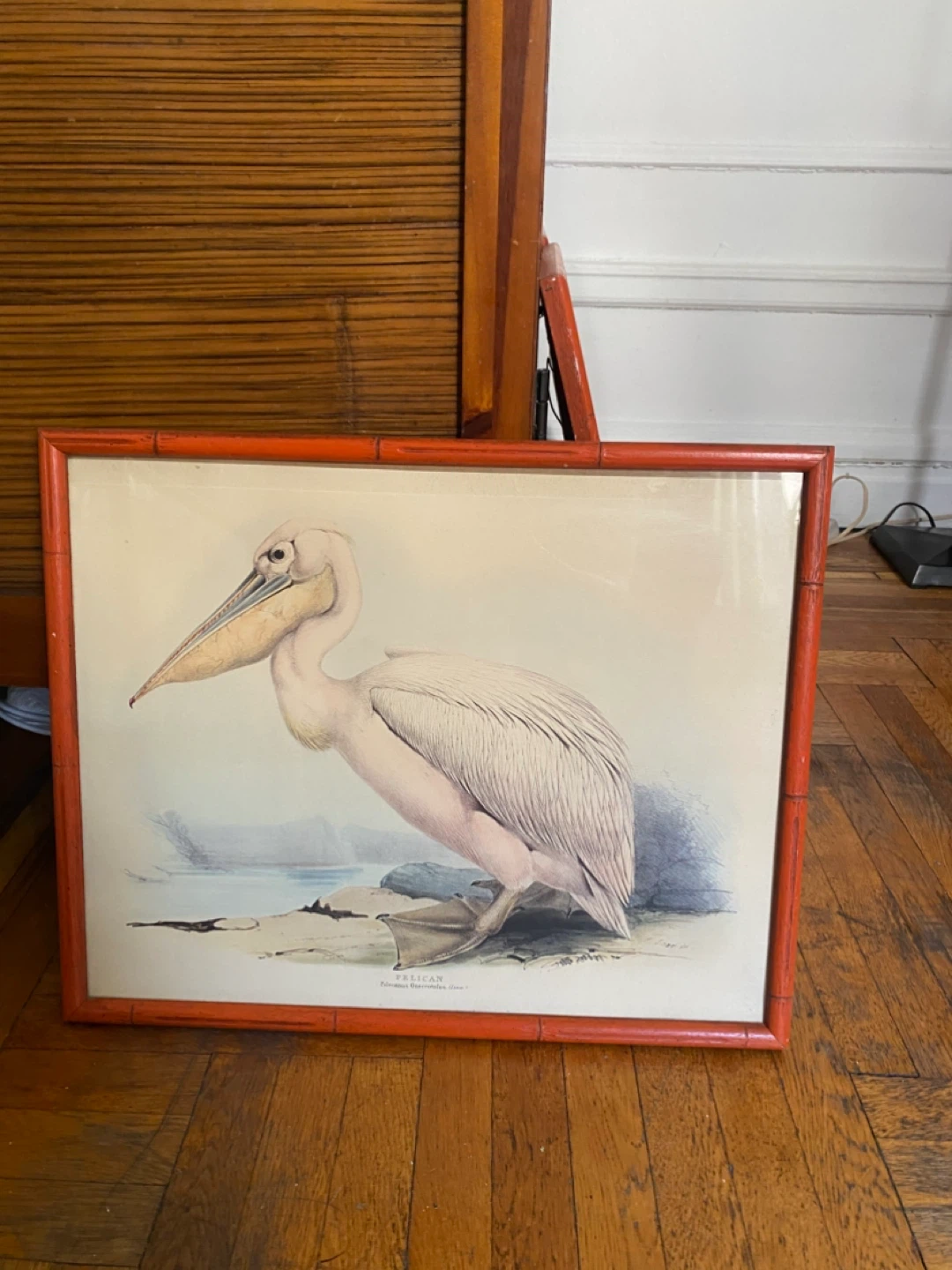Vintage Framed Bird Prints (Set of 5) - photo 3