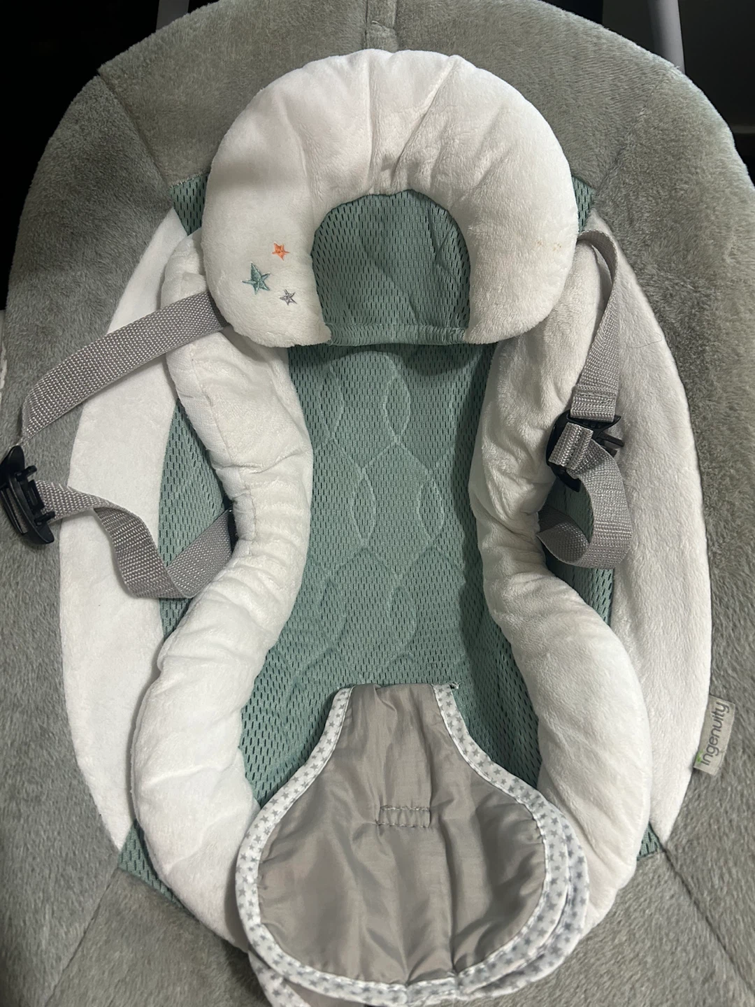 Ingenuity Baby Swing