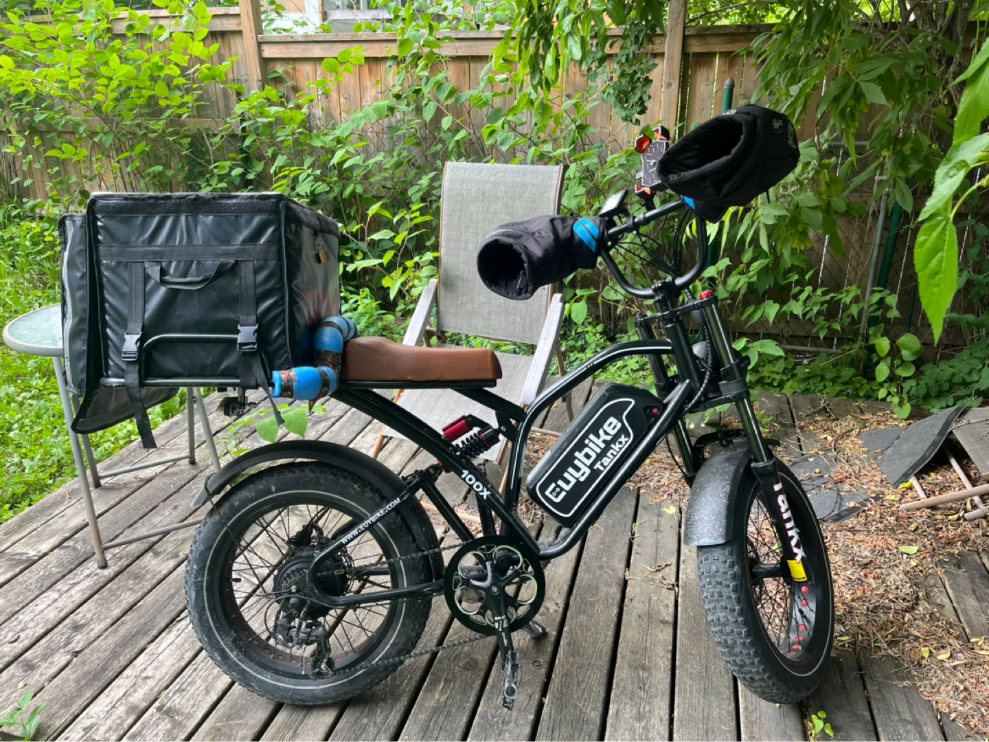 Euybike 100X Electric Fat Tire Bike
