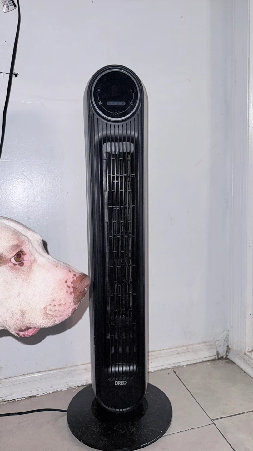 Dreo Tower Fan - photo 2