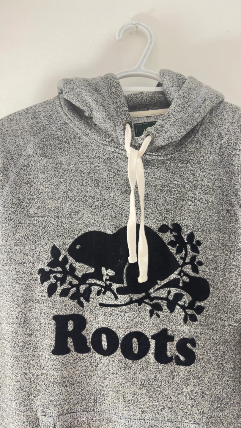 Roots Grey Hoodie - photo 5