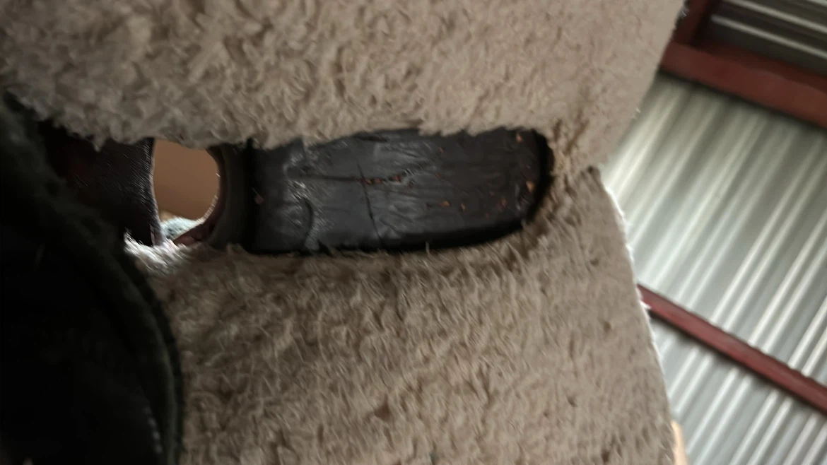 Western Saddle - photo 5
