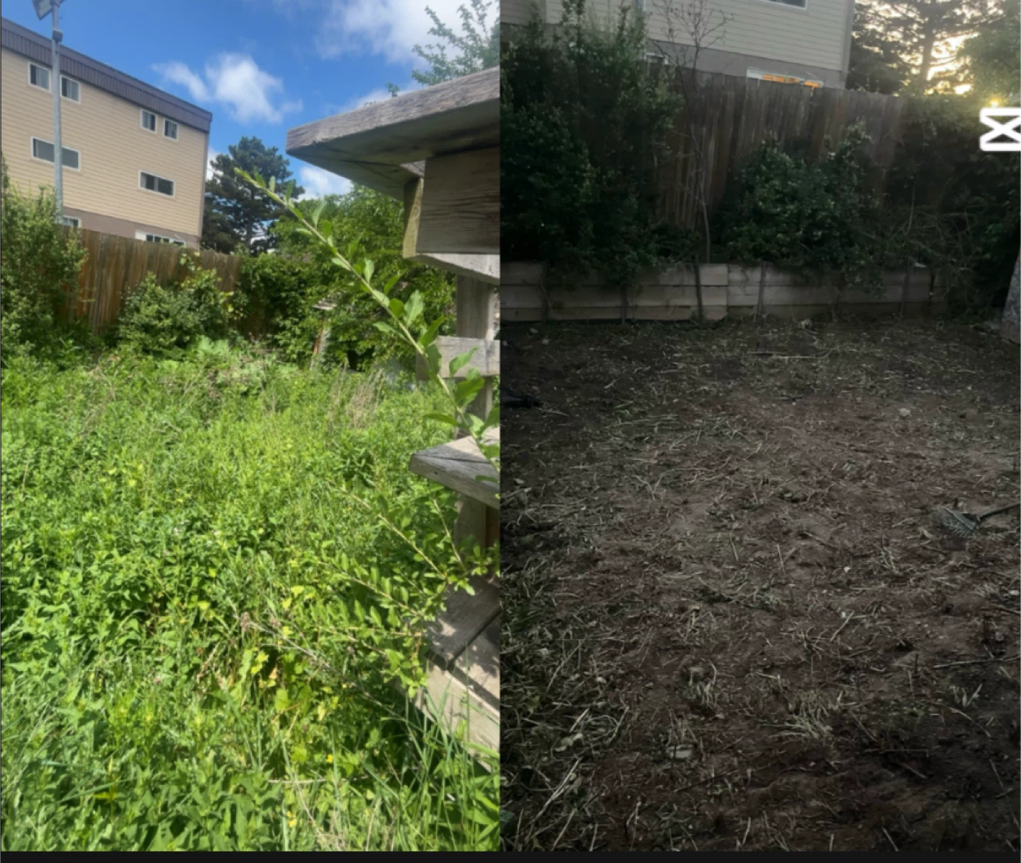 Yard Cleanup Scarborough