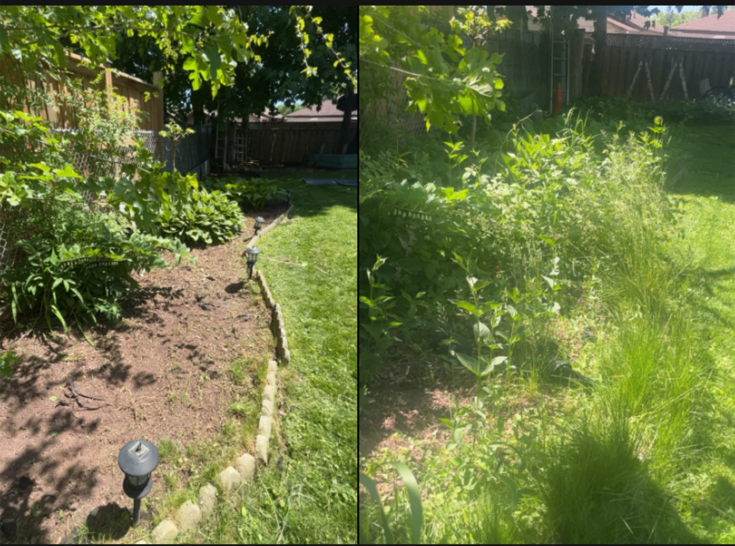 WEED REMOVAL SCARBOROUGH