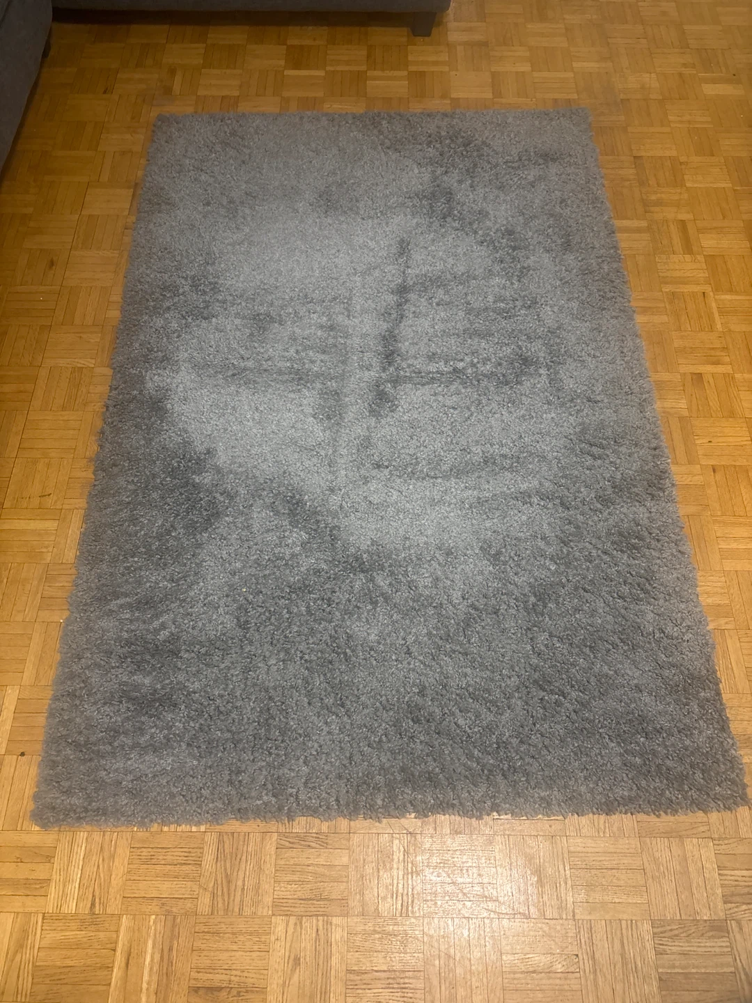 Gray Shaggy Rug