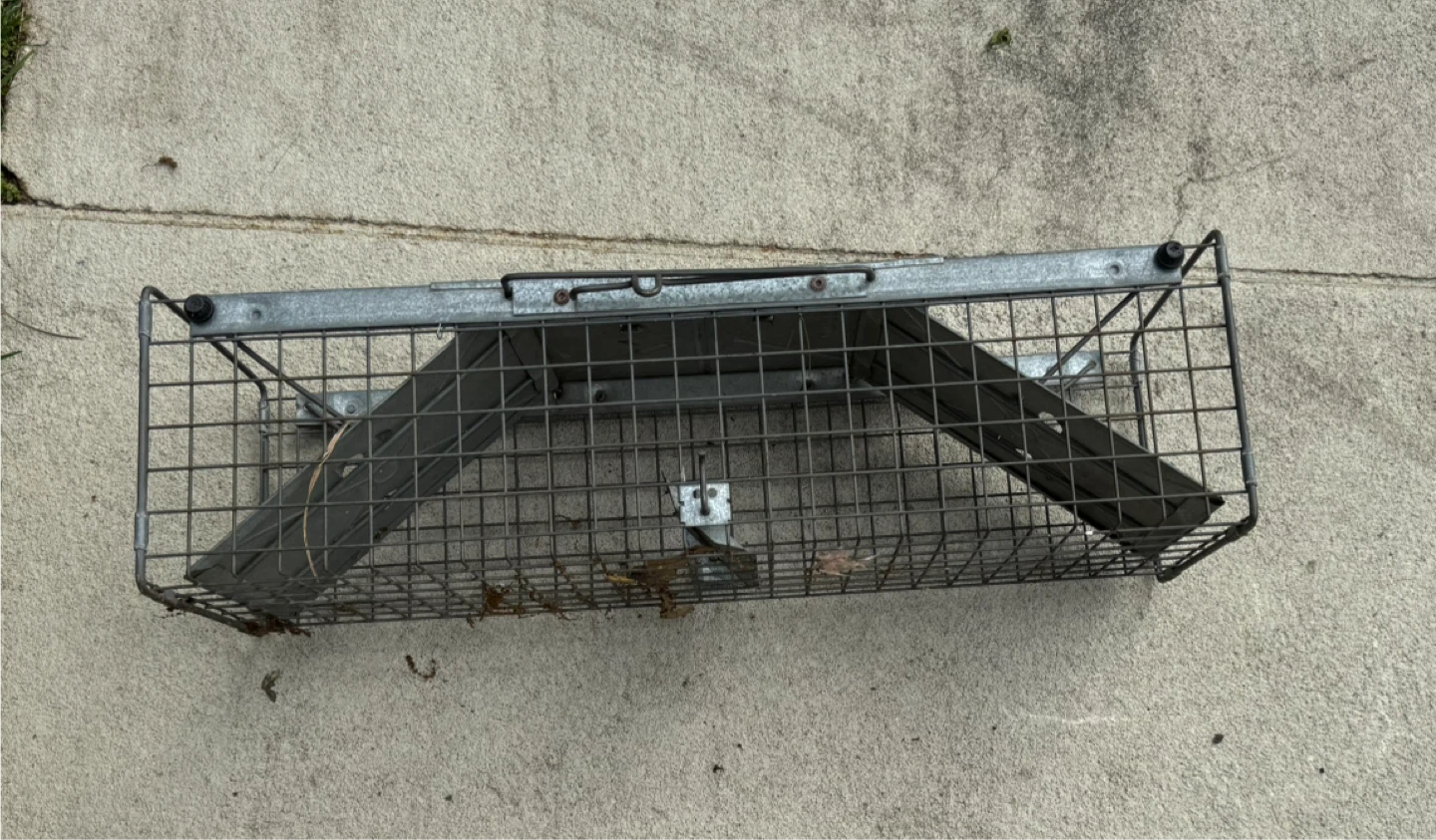 Metal Animal Trap Cage humane