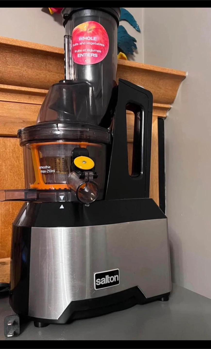 Salton Slow juicer / cold pressure Juicer - photo 2